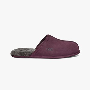 Ugg Scuff Tofflor Herr Rosa (804719ALH)